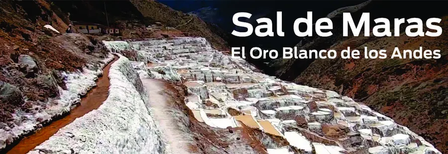 Sal de maras